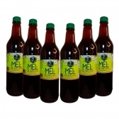 Mel Apis Blood - Garrafa 1,3kg - Kit 6