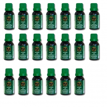 EXTRATO DE PRÓPOLIS APIS BLOOD - 30ML CX 20unidades
