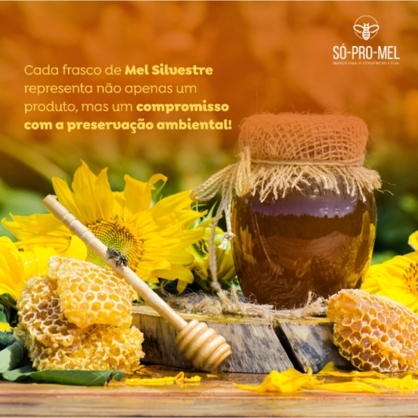 Mel SÓ-PRO-MEL - Pote 500g