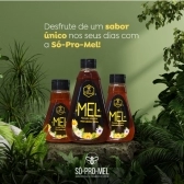 Mel Apis Blood - Triangular 280g - Atacado 12 Unid.