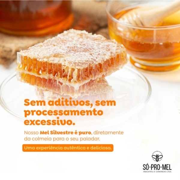 Mel SÓ-PRO-MEL - Pote 500g