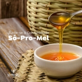 Mel São José - 500g