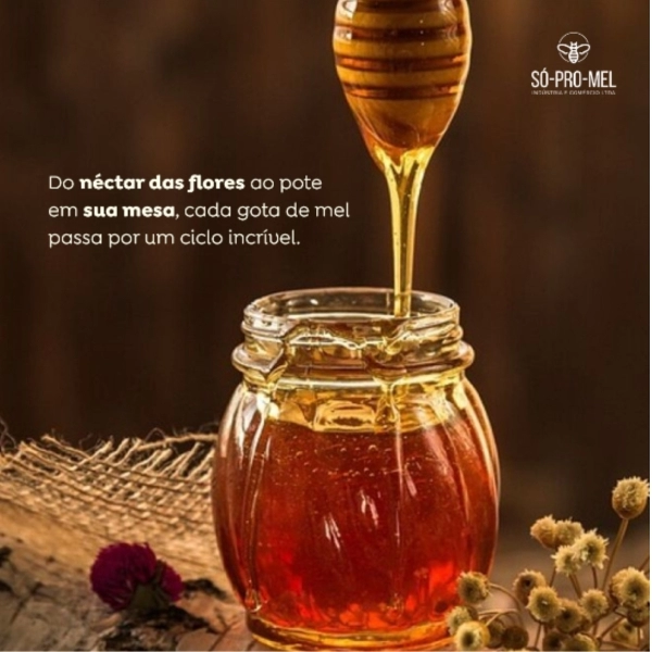 Mel SÓ-PRO-MEL - Pote 500g